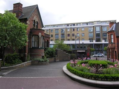 Picture 7